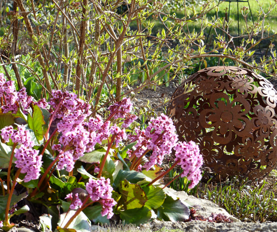 Baumschule Köhler GbR